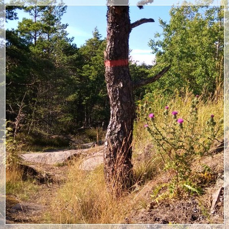 Femöre Naturreservat, Sörmlandsleden