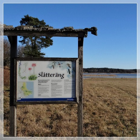 Labro Ängar Naturreservat