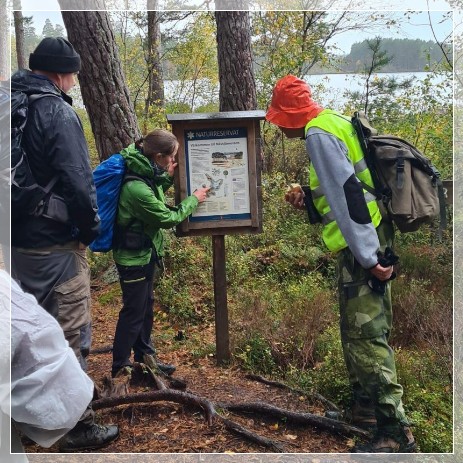 Nävsjömossen Naturreservat guided hike Sörmlandsleden