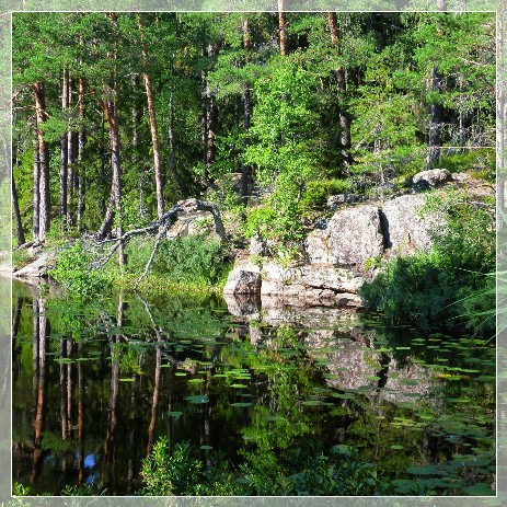 lake Nävsjön, Nävsjömossen Naturreservat  