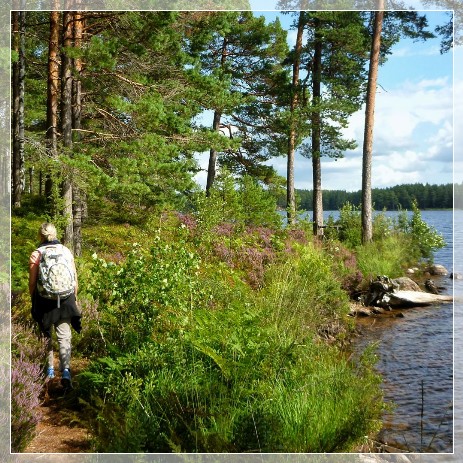 lake Nävsjön, Sörmlandsleden