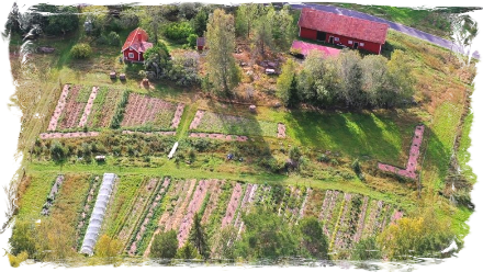 Nygran permaculture farm